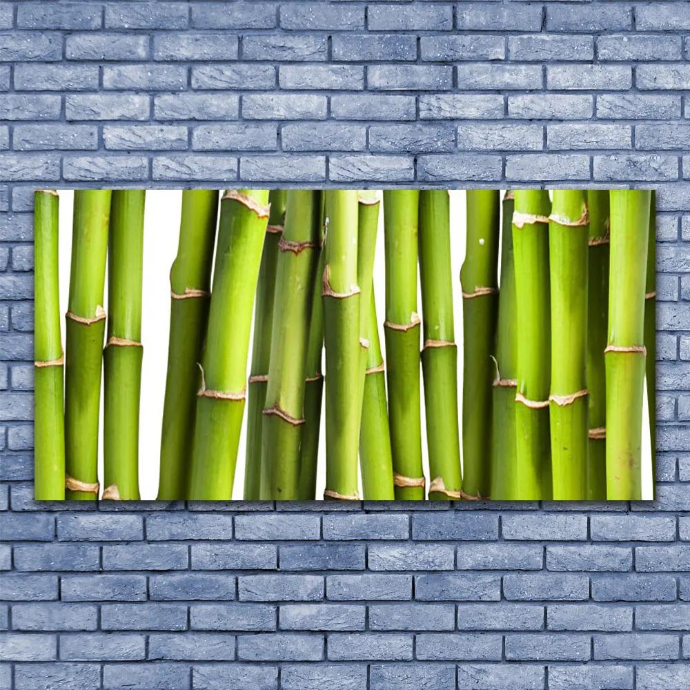 Obraz plexi Bambus rastlina príroda 120x60 cm