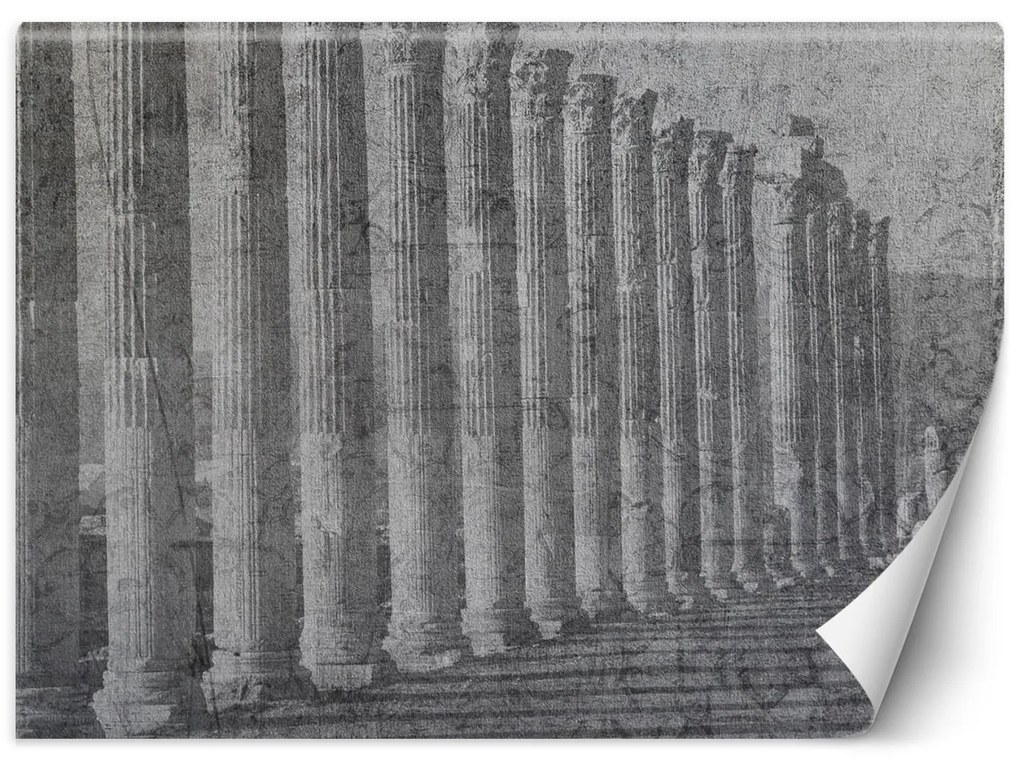 Gario Fototapeta Antické stĺpy Materiál: Vliesová, Rozmery: 200 x 140 cm