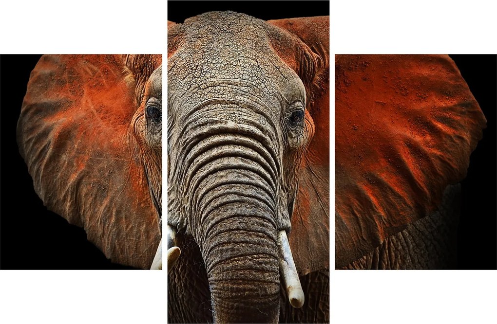 Obraz - Slony z Tsavo (90x60 cm)