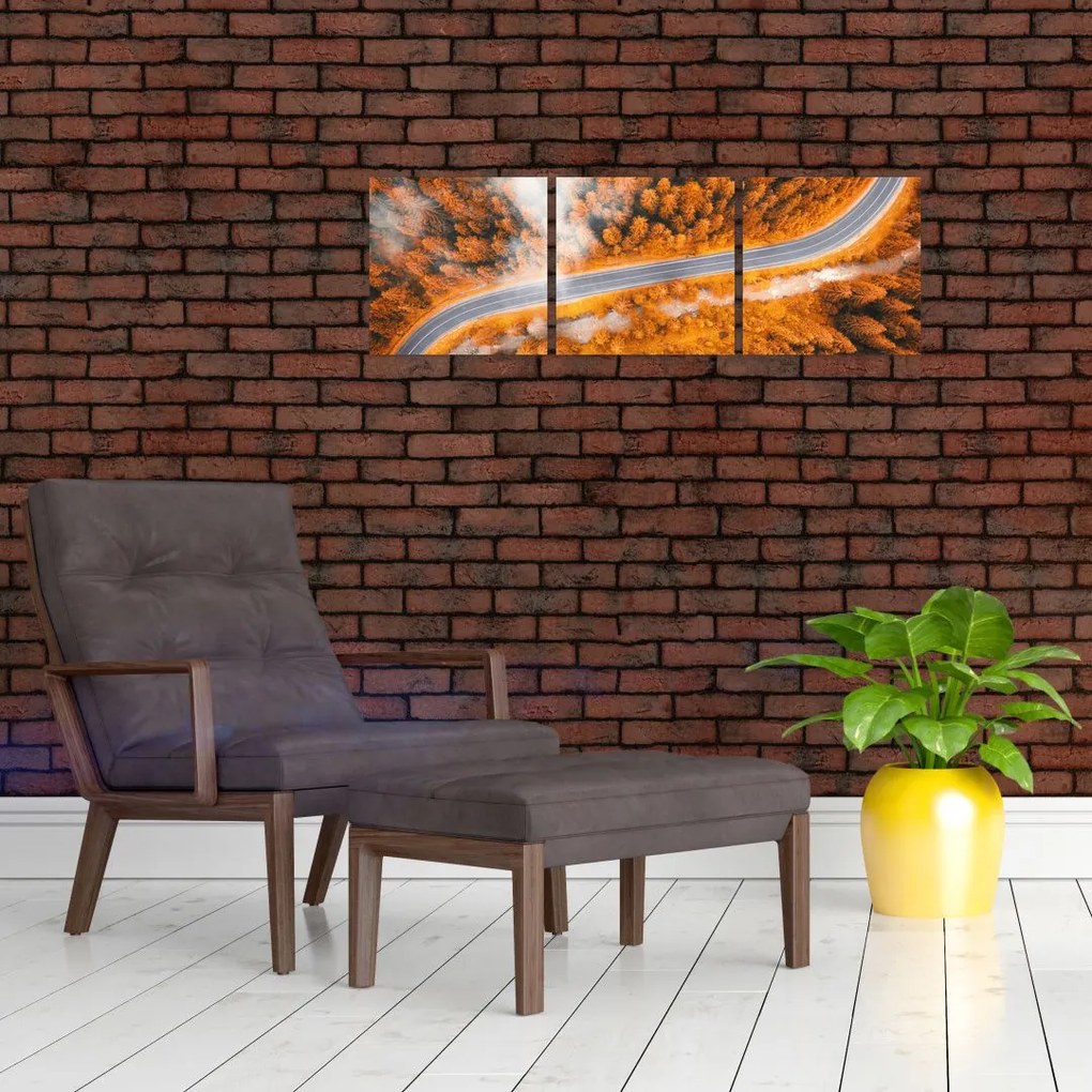 Cesta lesom - moderné obrazy na stenu