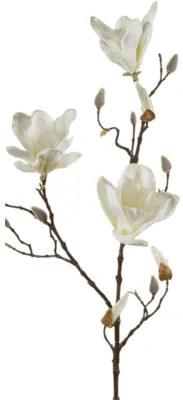 Magnolia Spray cream v.90 cm