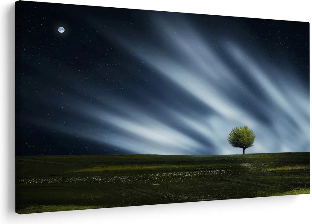 Obraz polárna žiara nad vresoviskom (90x60 cm)