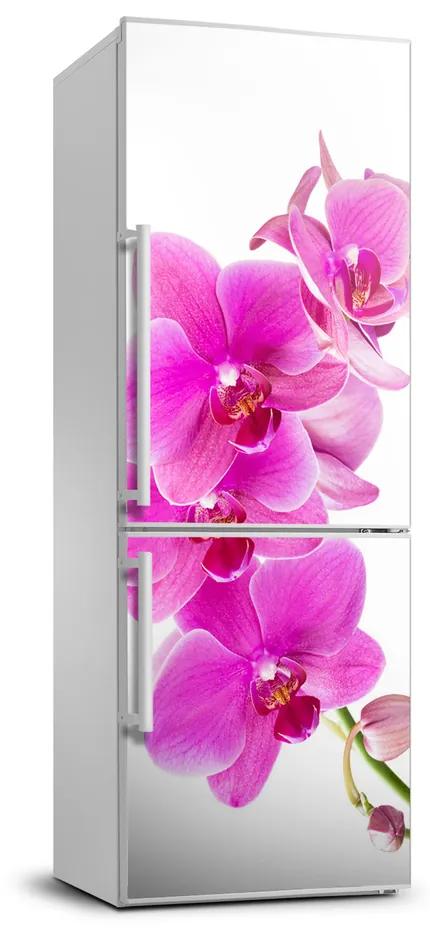 Nálepka fototapeta Ružová orchidea FridgeStick-70x190-f-67673367