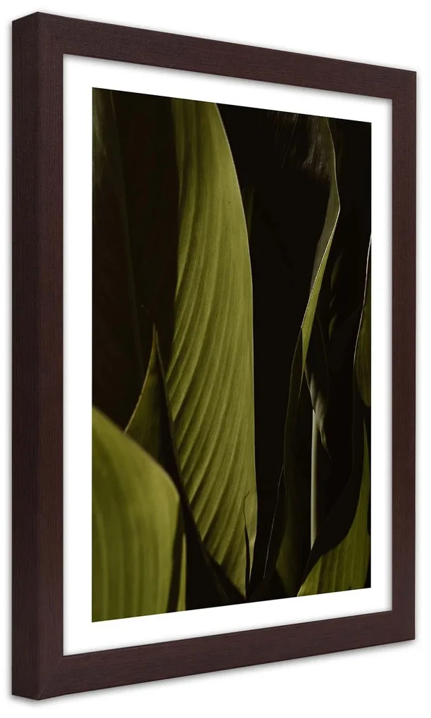 Gario Plagát Zelené listy trópov Farba rámu: Bez rámu, Rozmery: 40 x 60 cm