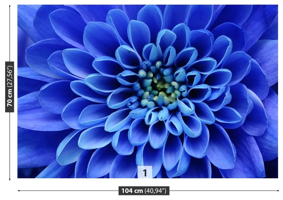 Fototapeta Vliesová Modrý kvet 152x104 cm