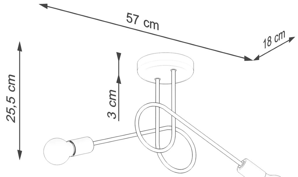 Stropné svietidlo Loop 2, čierne telo svietidla