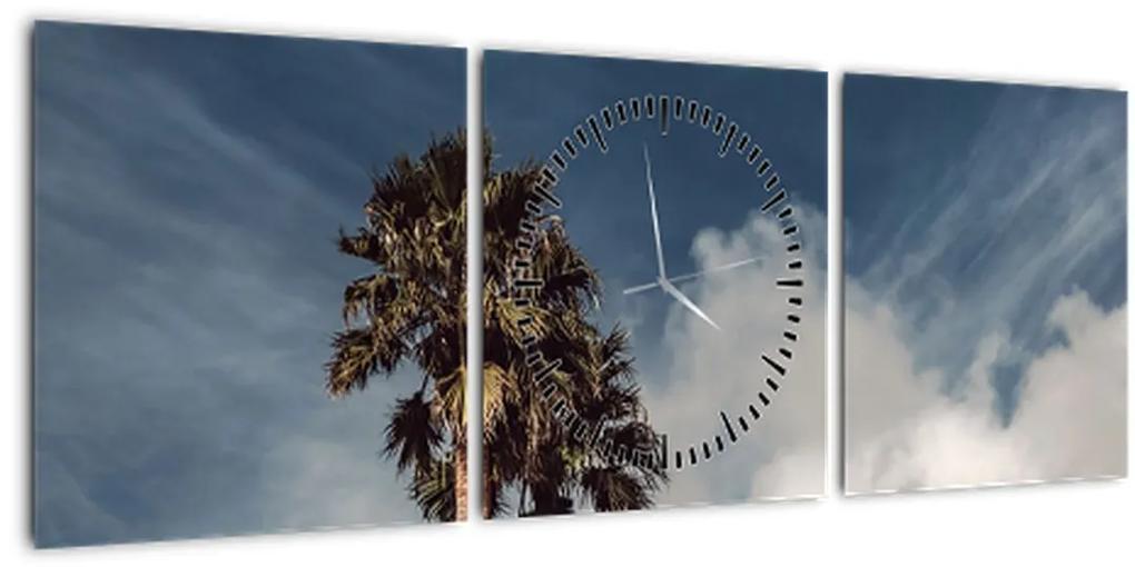 Obraz - Palmová dráma (s hodinami) (90x30 cm)