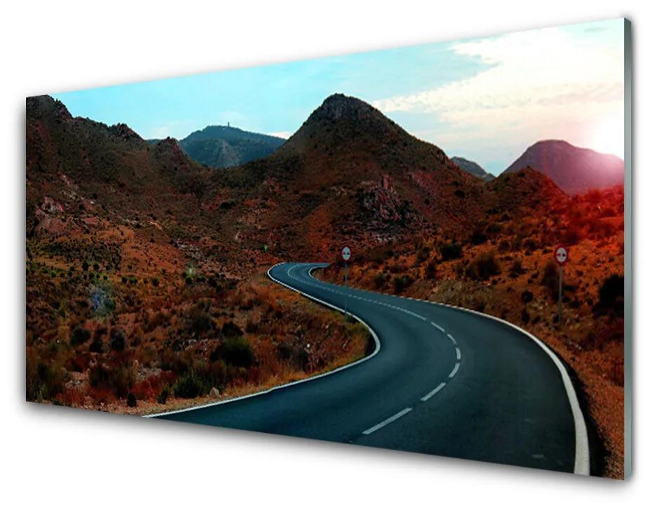 Obraz plexi Cesta hory púšť 140x70 cm
