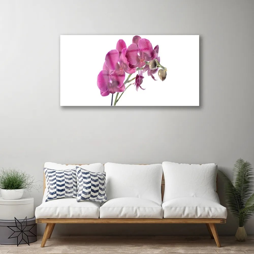 Skleneny obraz Orchidea kvety príroda 125x50 cm