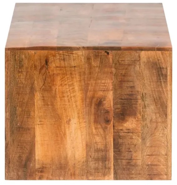 furniture-nabytek.cz - Masivní TV stolek Country z mangového dřeva, lakovaný, hnědý – 115×45×55 cm