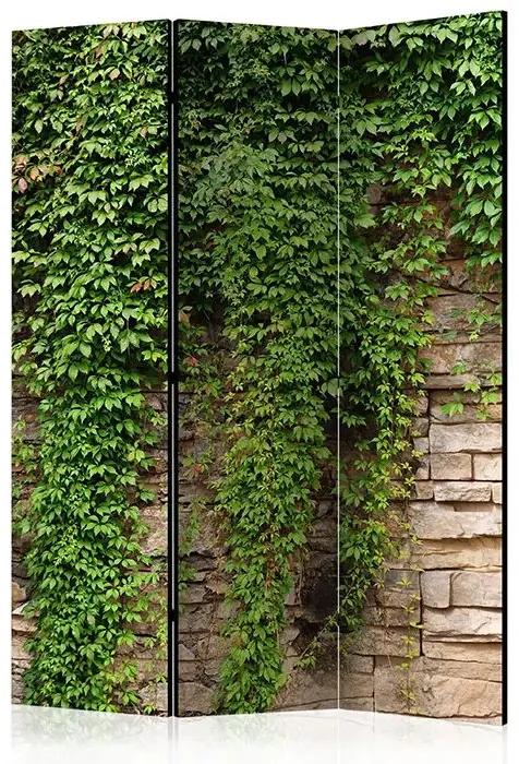 Paraván - Ivy wall [Room Dividers] Veľkosť: 135x172, Verzia: Jednostranný