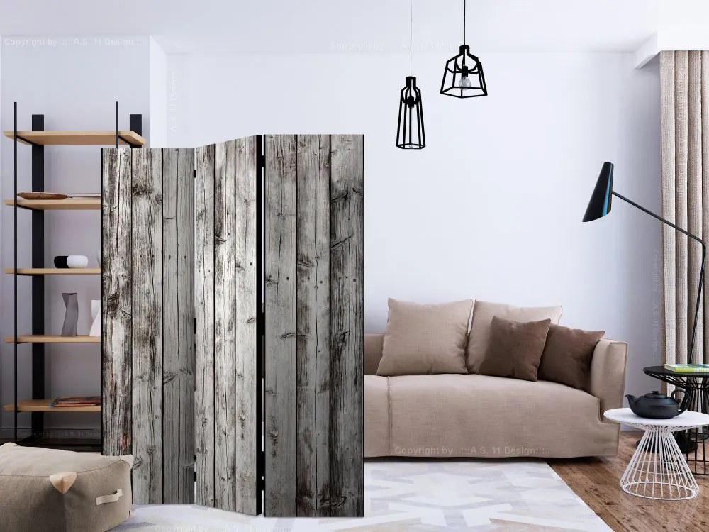 Artgeist Paraván - Raw Boards [Room Dividers]