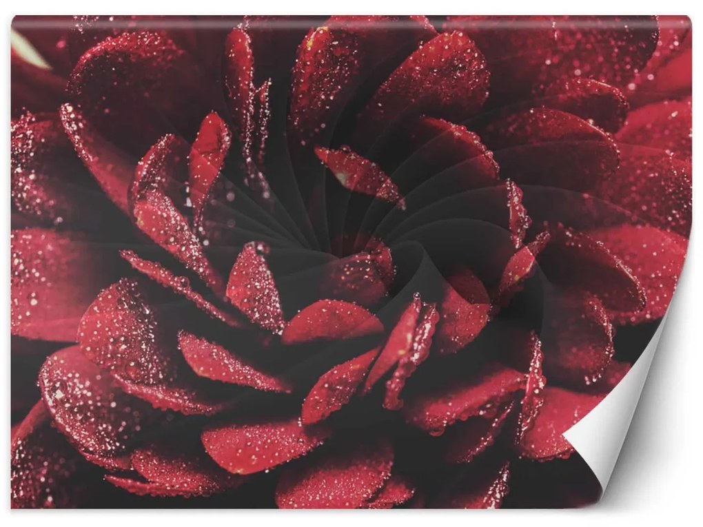 Gario Fototapeta Kvetina v makro mierke Materiál: Vliesová, Rozmery: 200 x 140 cm
