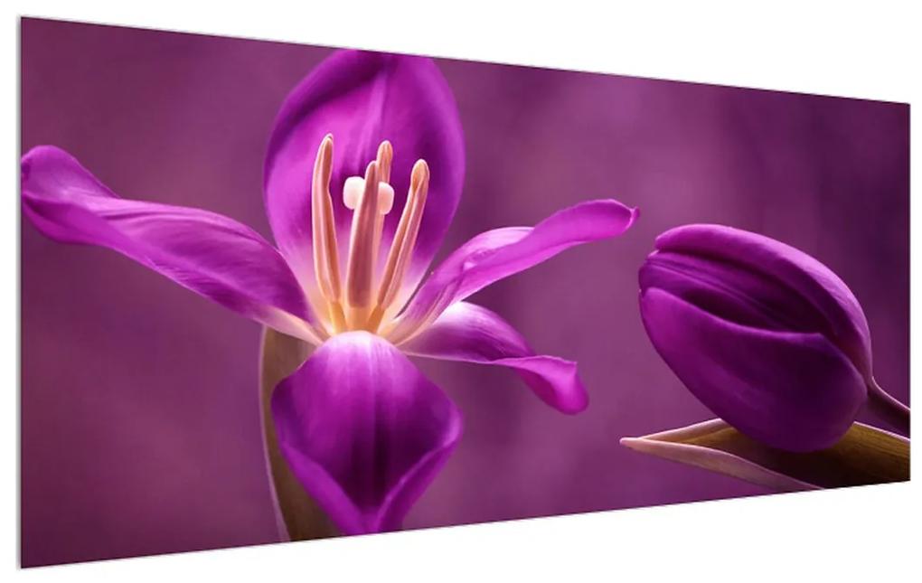 Obraz fialového kvetu (120x50 cm)