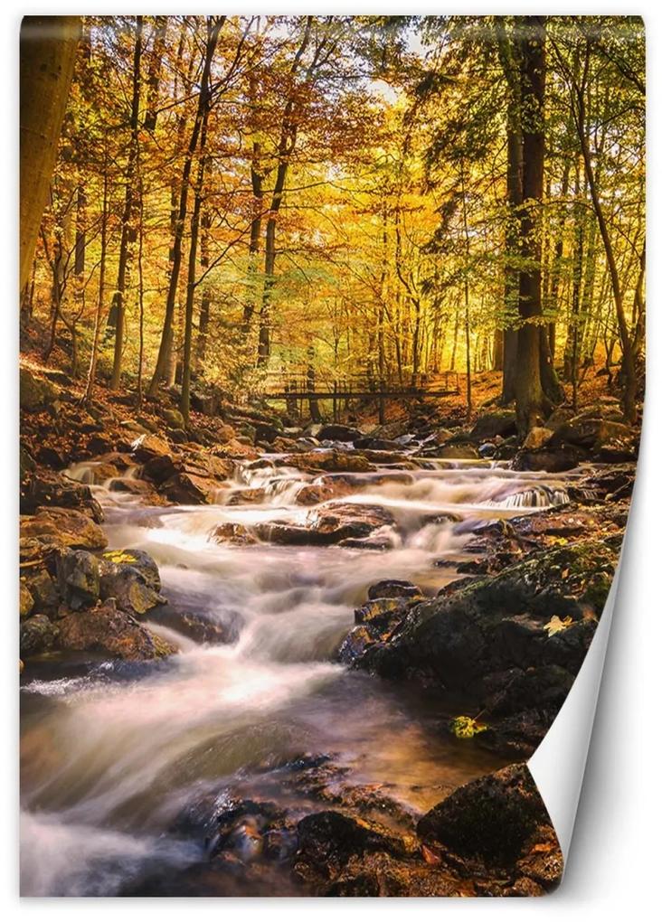 Fototapeta, Vodopád v lese - 150x210 cm
