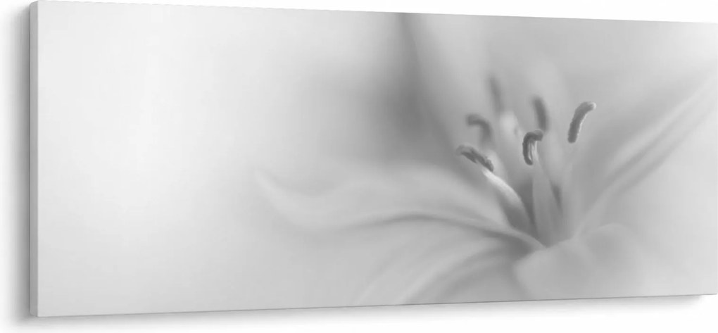 Obraz - Jemná ľalia (120x50 cm)
