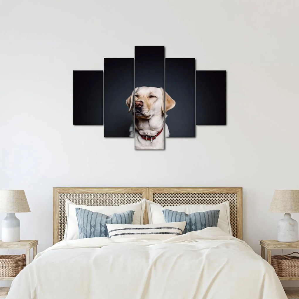 Obraz labradora (150x105 cm)