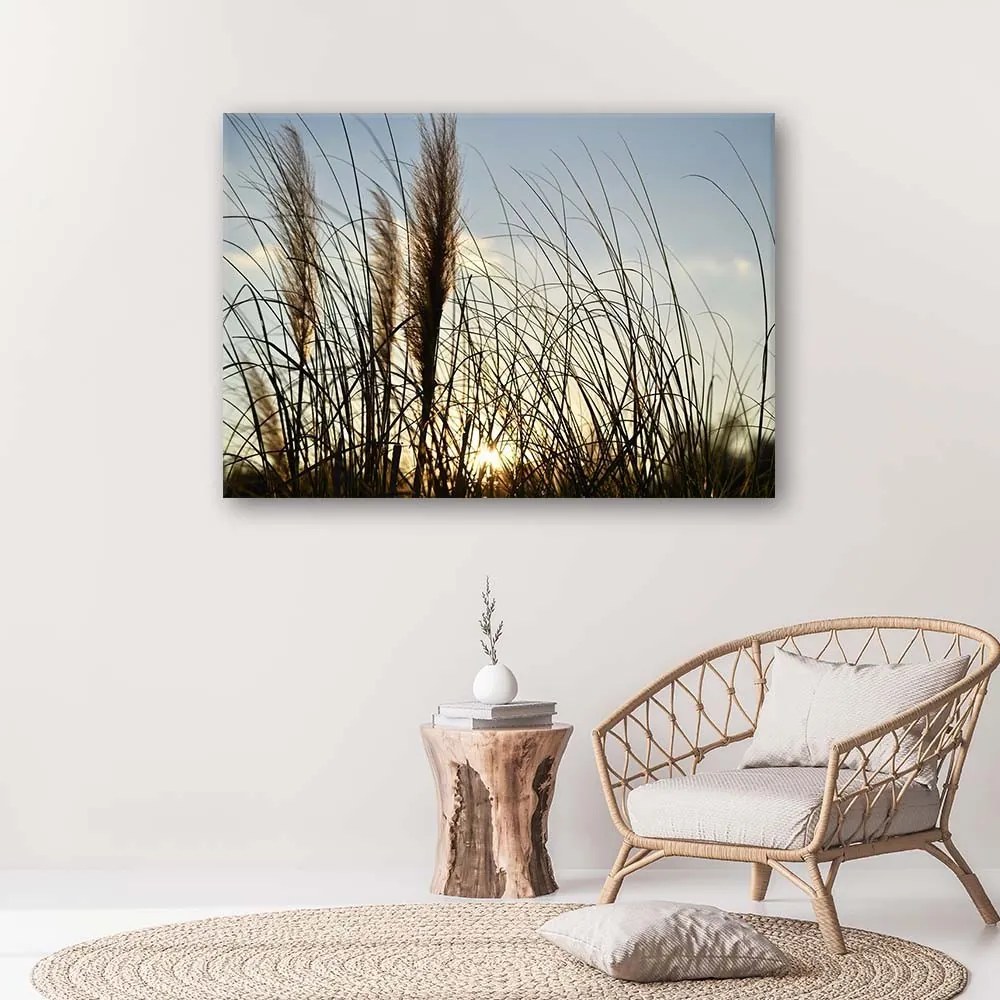 Gario Obraz na plátne Trstina na slnku Rozmery: 60 x 40 cm