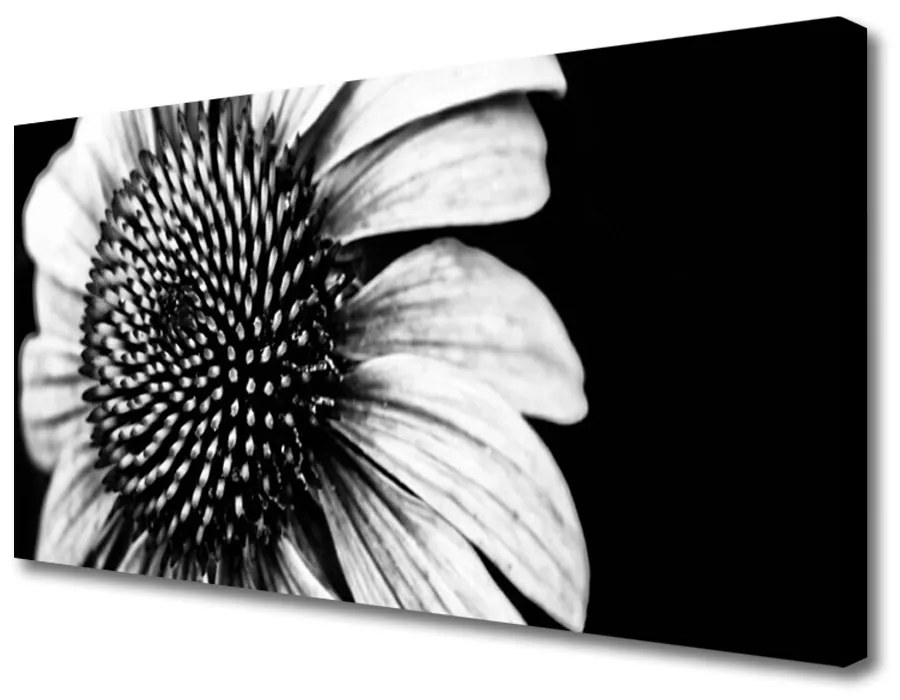 Obraz na plátne Kvet rastlina príroda 100x50 cm