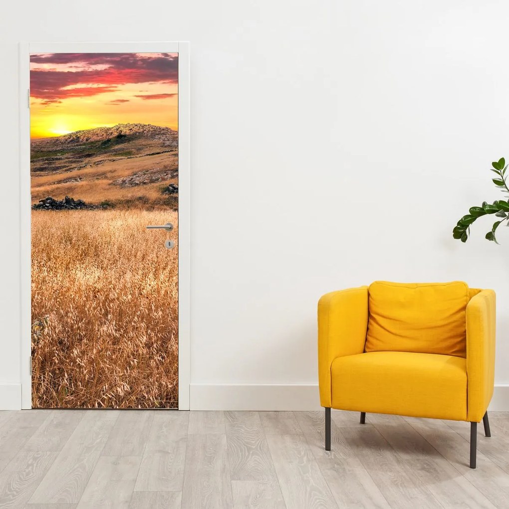 Fototapeta na dvere - Pole (95x205cm)