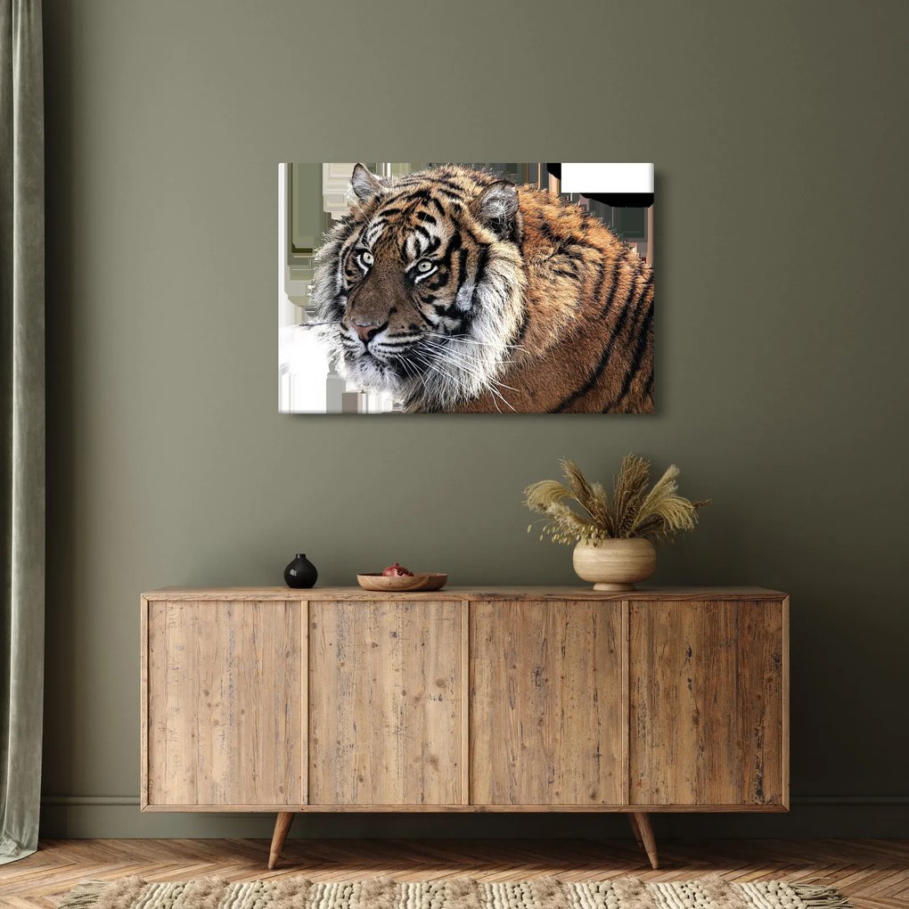 Obraz tigra (90x60 cm)