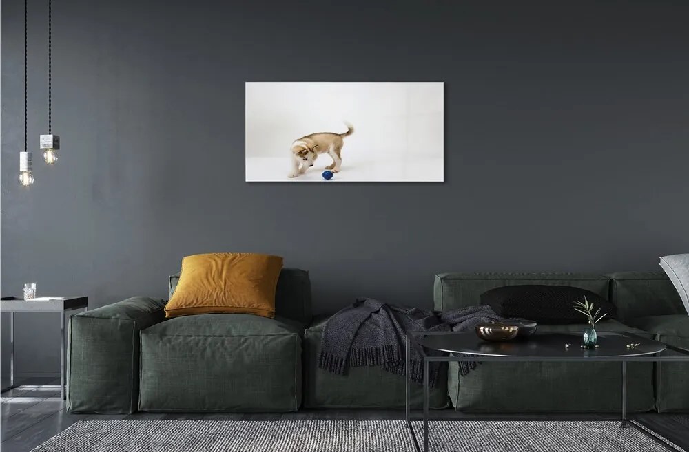 Sklenený obraz Hrať s tým psom 125x50 cm