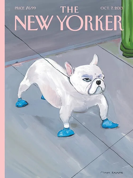 Ilustrácia The NY Magazine Cover 132