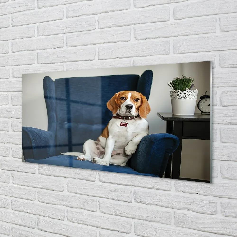 Sklenený obraz sediaci pes 125x50 cm