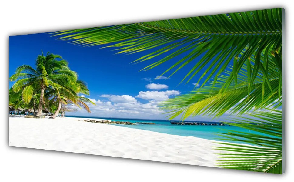 Obraz plexi Tropická pláž more výhľad 125x50 cm