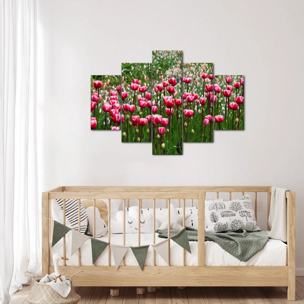 Obraz tulipánov (150x105 cm)