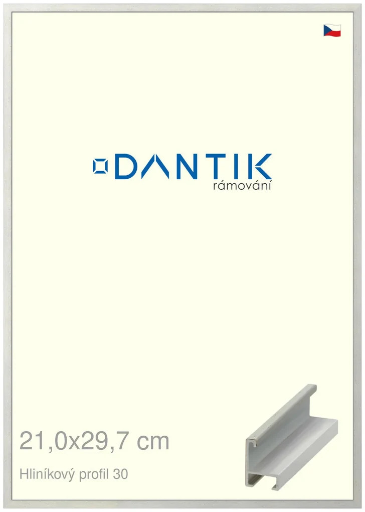 DANTIK rám na obraz 21x29,7 | ALU Dýha barevná šedá světlá (Sklo Čiré)