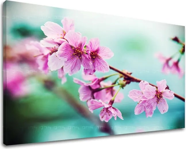 Obraz na stenu KVETY KV056E11 - 20x30 cm