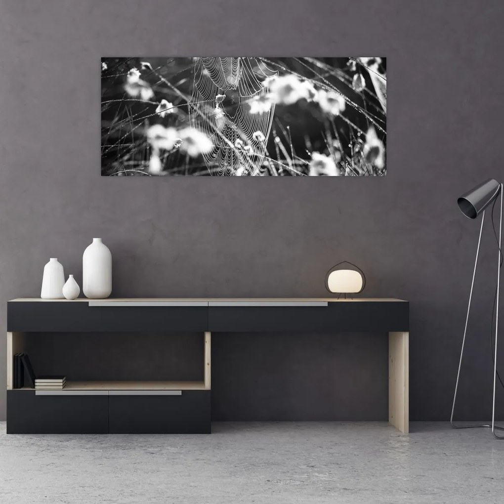 Obraz - Pavučina na lúke (120x50 cm)