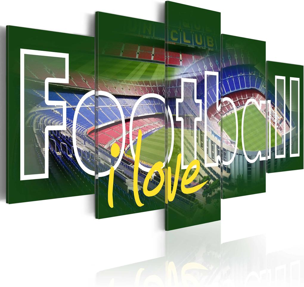 Obraz - I Love Football 100x50
