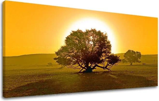 Obraz na stenu PANORÁMA STROMY