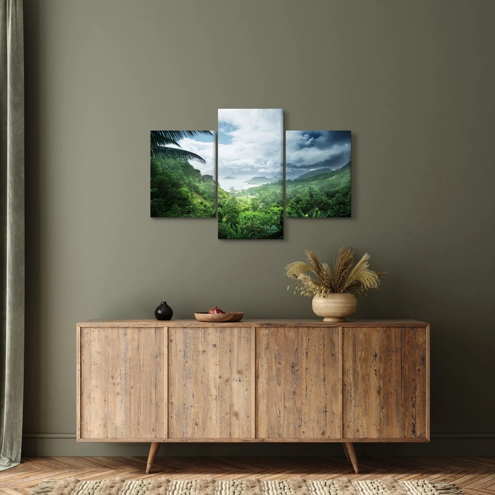 Obraz - Seychelská jungle (90x60 cm)