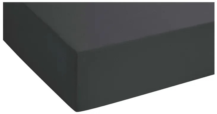 Biberna Napínacia džersejová plachta (titánová, 180 – 200 x 200 cm)  (100227068)