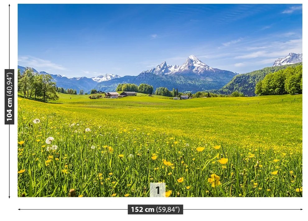 Fototapeta Vliesová Alpské lúky 104x70 cm