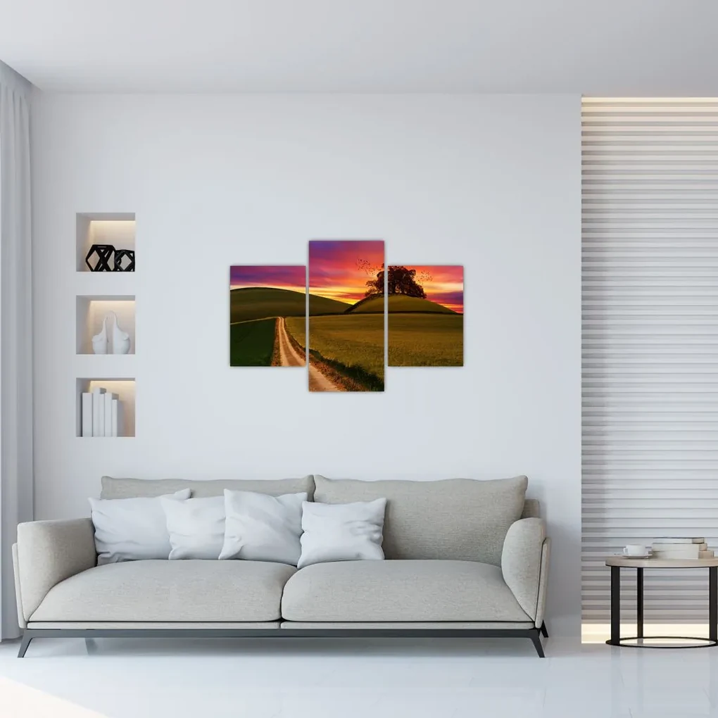 Obraz poľa pri západe slnka (90x60 cm)