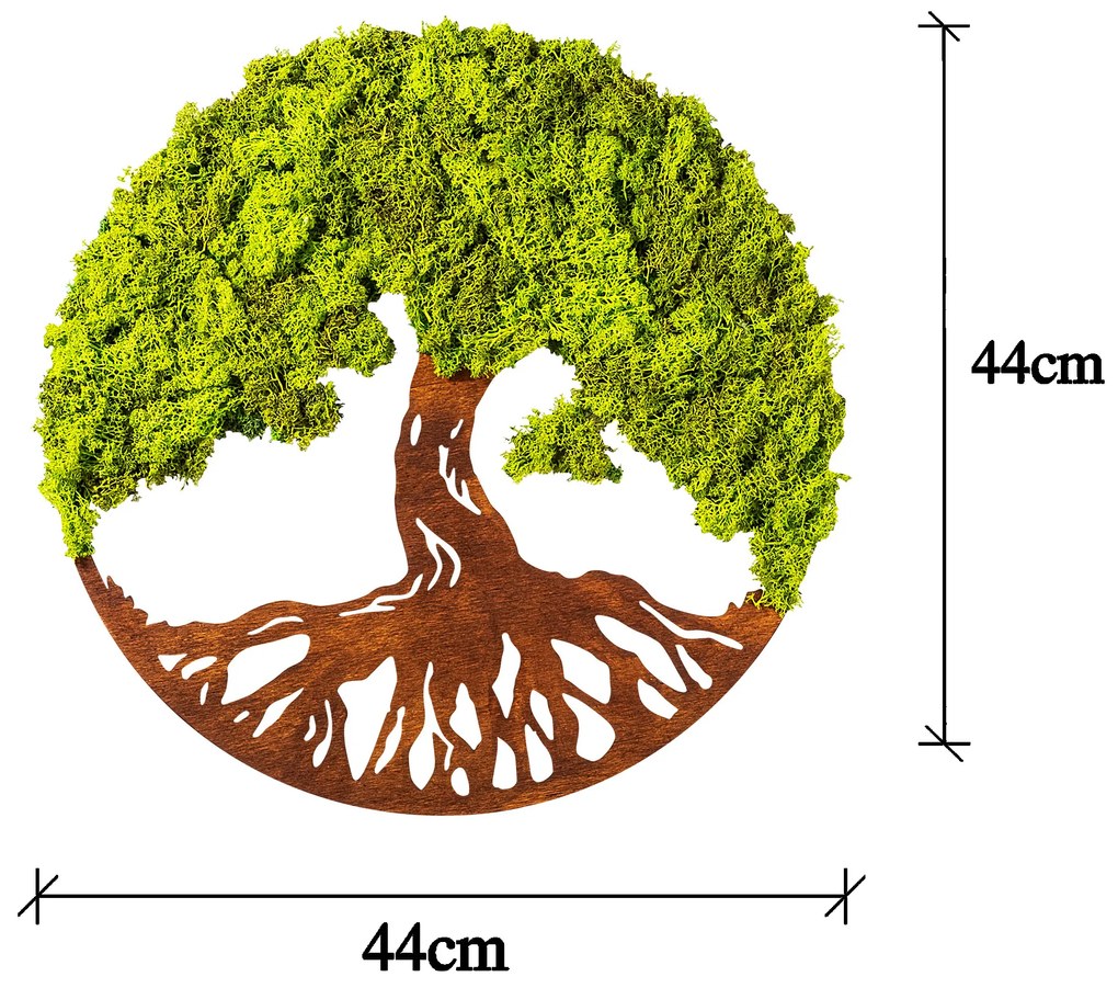 Tree Of Life 3