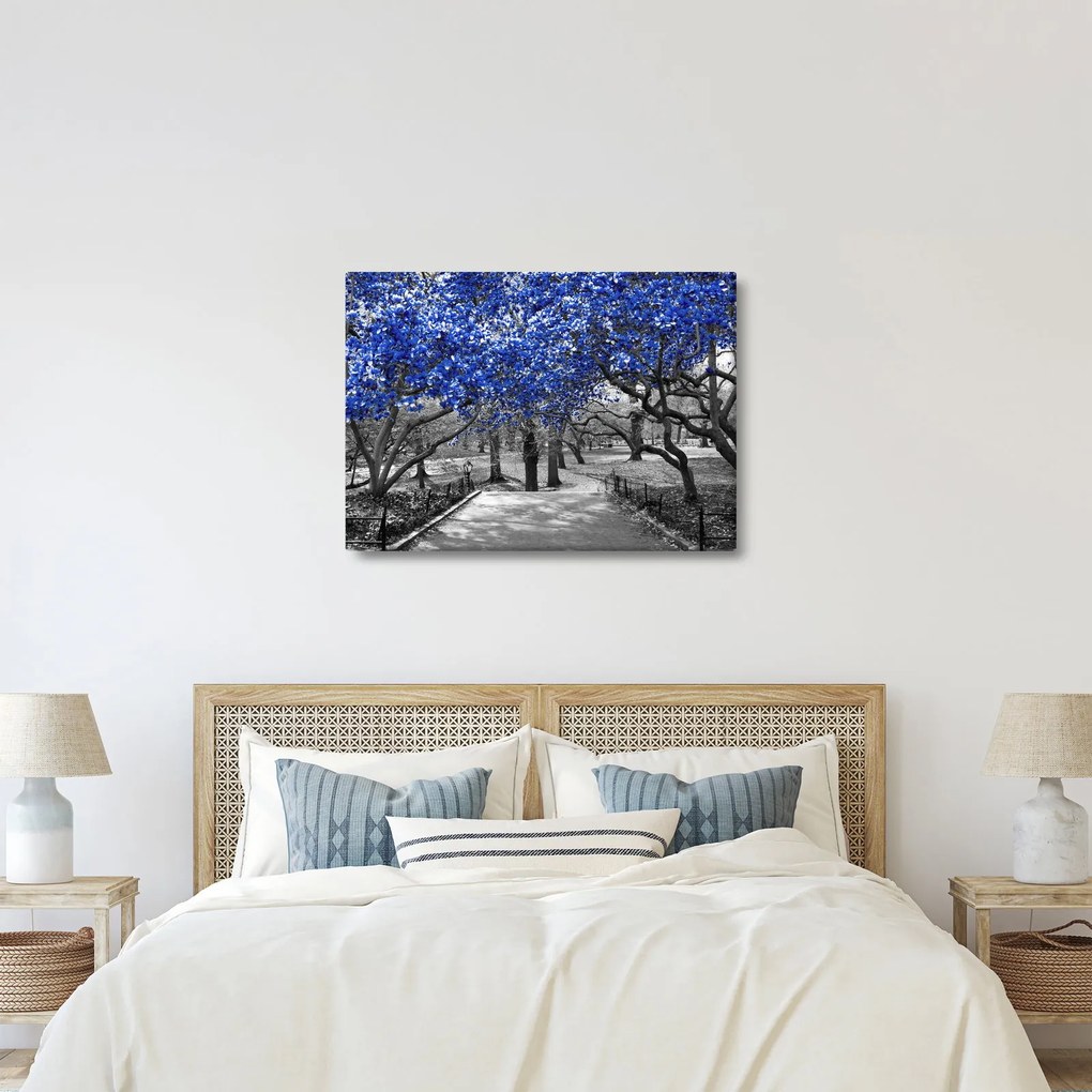 Obrázok - Modré stromy, Central Park, New York (70x50 cm)