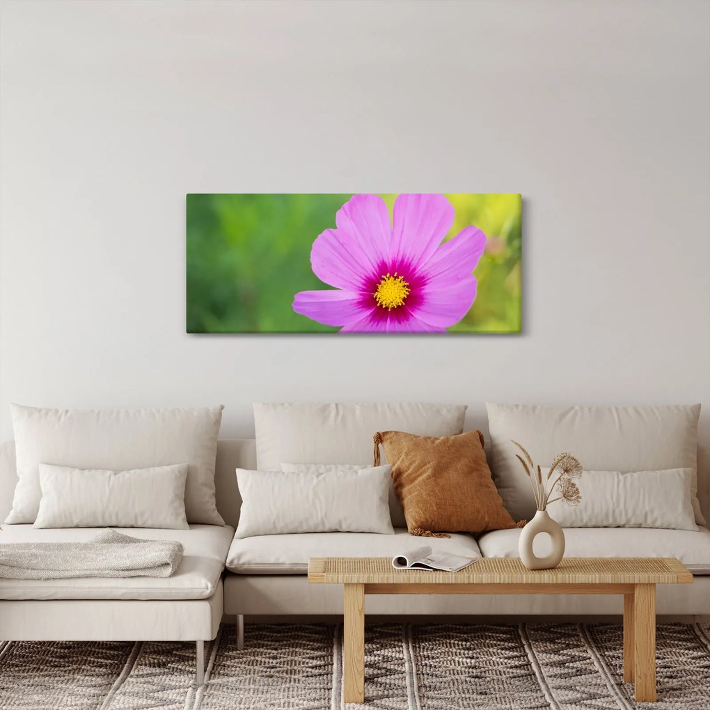 Obraz - lúčna kvetina (120x50 cm)