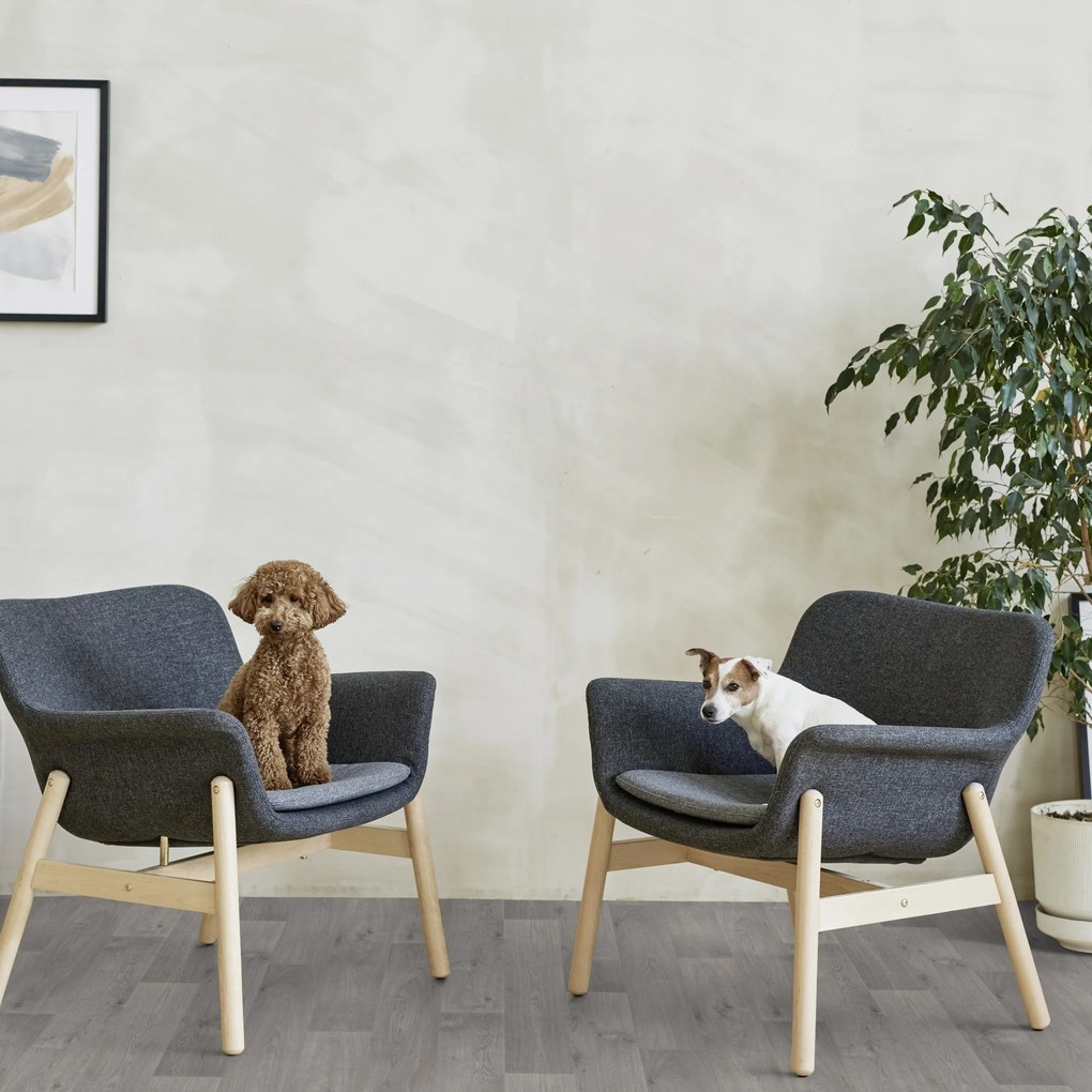 Gerflor, PVC podlaha - lino Flexar Nerok 1751 Timber Grey, na mieru, šíře 2m,4m, šedá, bez podkladu, chodba / predsieň