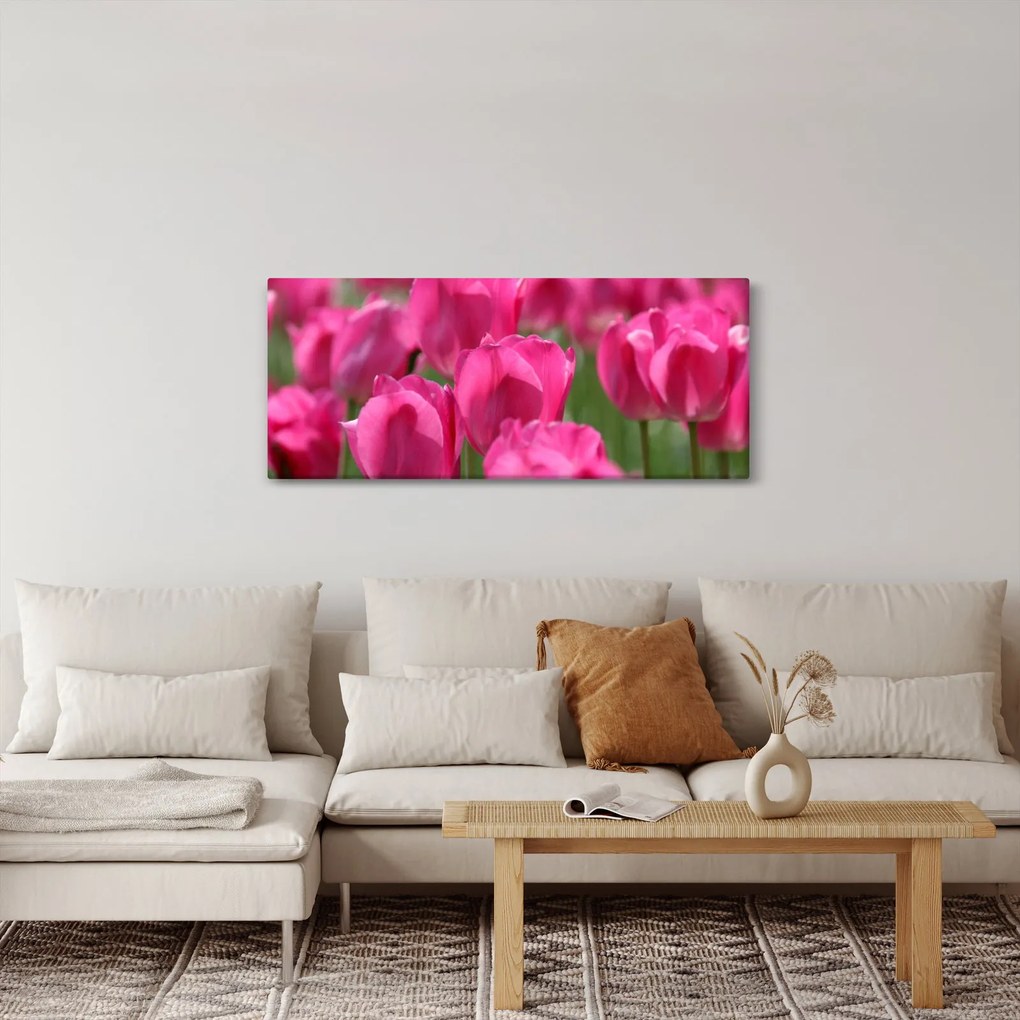 Obraz - Ružové tulipány (120x50 cm)