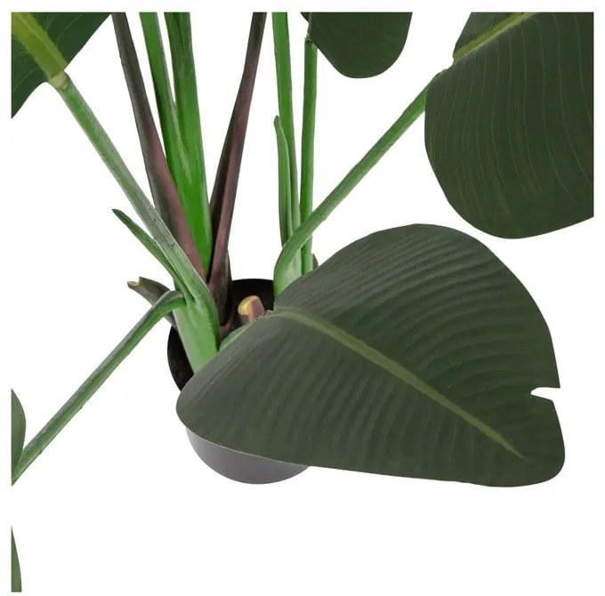 Umelá strelícia (výška 164 cm) – WOOOD