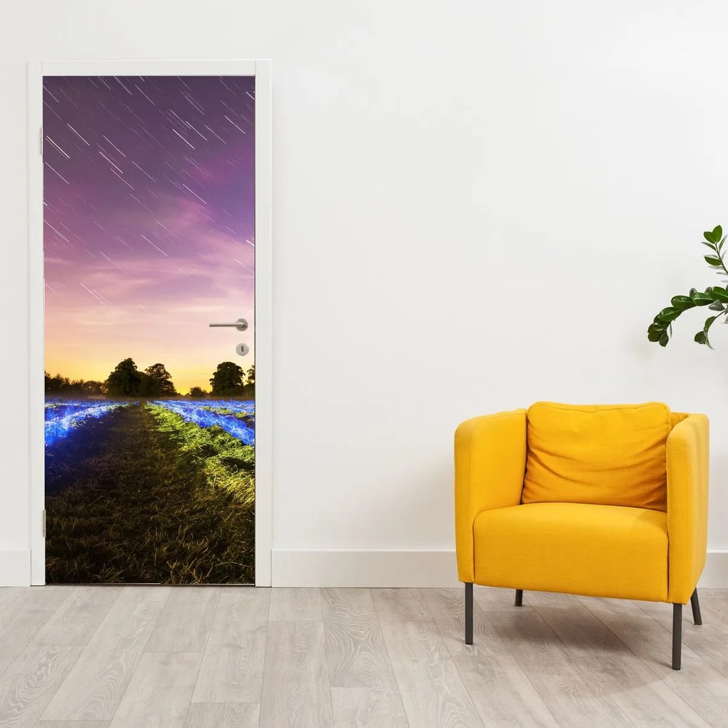 Fototapeta na dvere - Farebné pole (95x205cm)