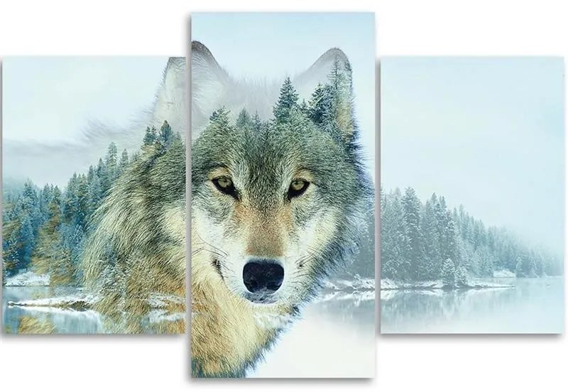Gario Obraz na plátne Vlk na pozadí hory - 3 dielny Rozmery: 60 x 40 cm