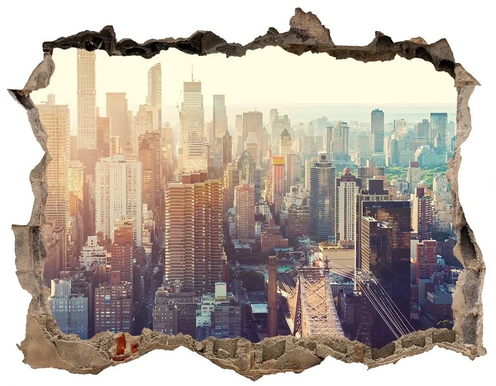 Fototapeta díra na zeď New york letu vták nd-k-117684952