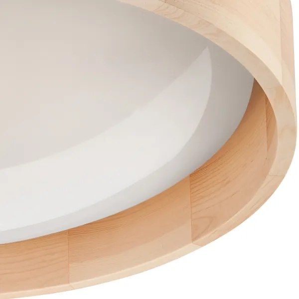 Brilagi - LED Stmievateľné stropné svietidlo MANAROLA LED/24W/230V + DO