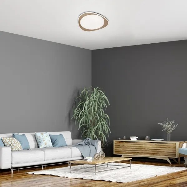 Rabalux 2427 - LED stropné svietidlo TAMINO LED/24W/230V